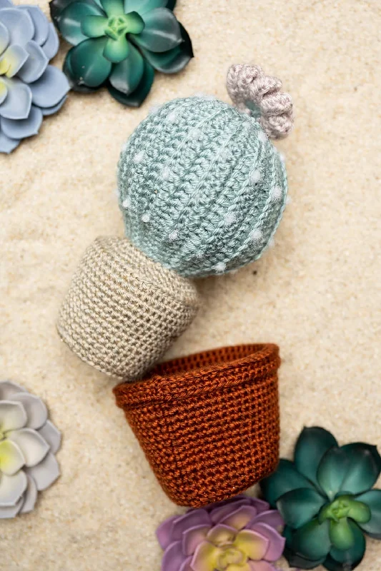 - Remote interactive pet feederAmigurumi Succulent in Pottery (Crochet)