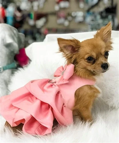 Pet holiday dress-up clothesSusan Lanci Madison Dress - Puppy Pink