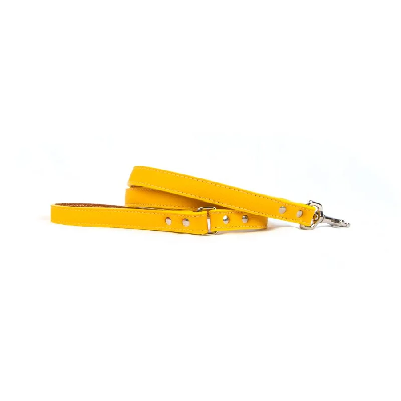### General pet accessoriesTuscan Leather Dog Leash Yellow