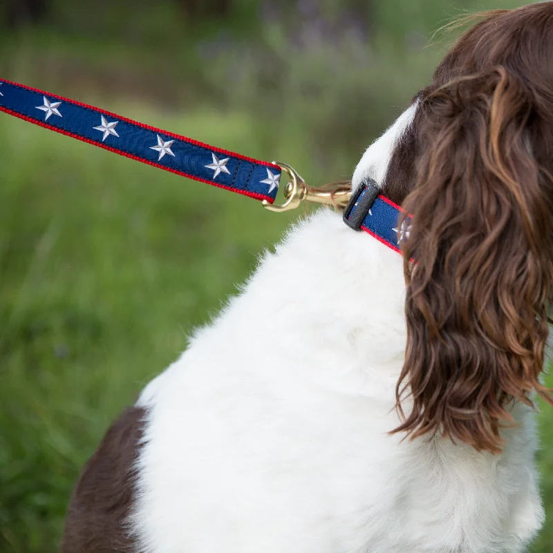 - Car dog seat beltMedium Dog Collar: North Star on Red Webbing