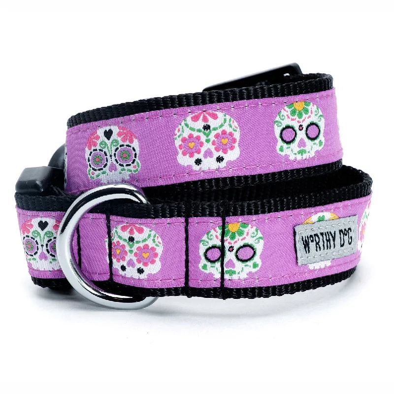  . **Pet collar with custom engraving**Skeletons Dog Collar Purple