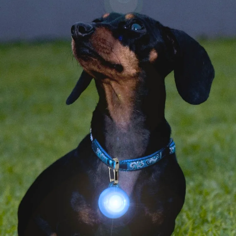 ---Rogz RogLite Safety Light Tag