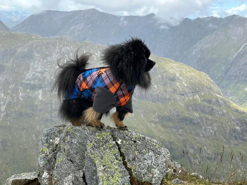 - Pet toys under yuanThe Highlander McTog Dog Jumper - With Sleeves - Step In Poppers - Pet toys under yuanThe Highlander McTog Dog Jumper - With Sleeves - Step In Poppers