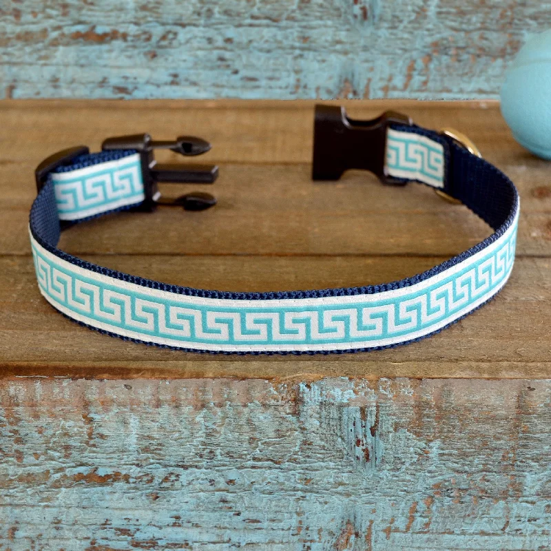 AQUA SMALL