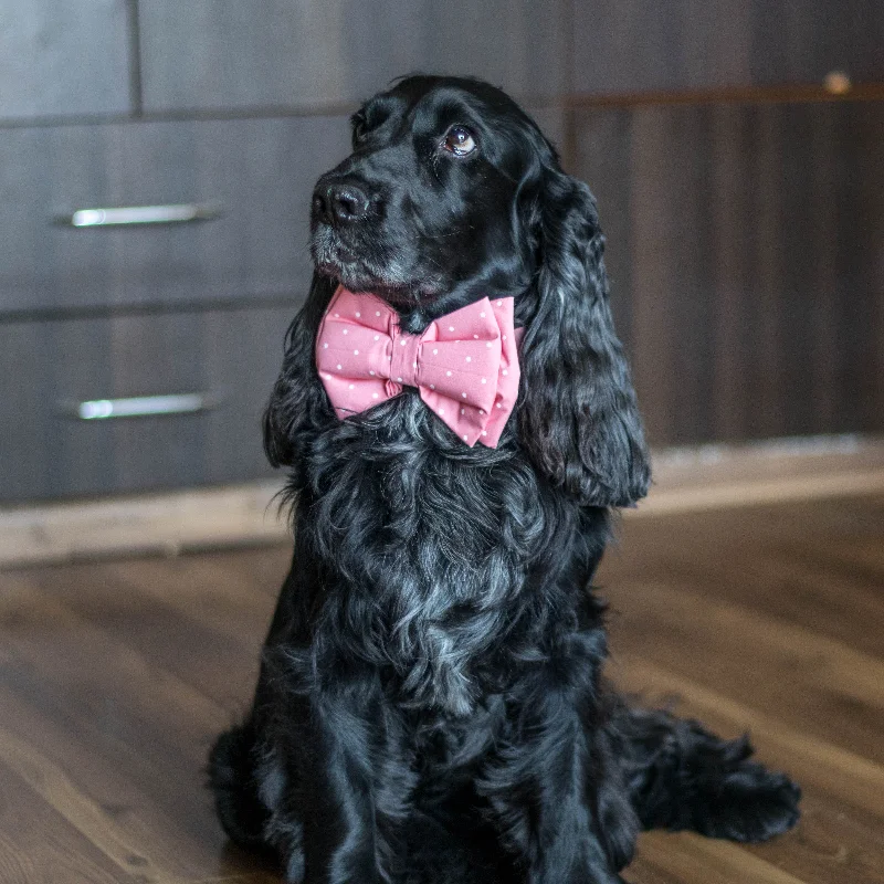 PoochMate Pink Polka Dog Bow Tie