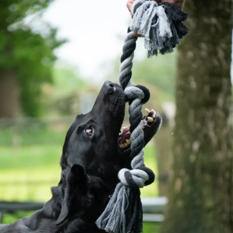  -Anti-slip claw protection raincoat FOR dogsFloss Toss Dental Rope Toy