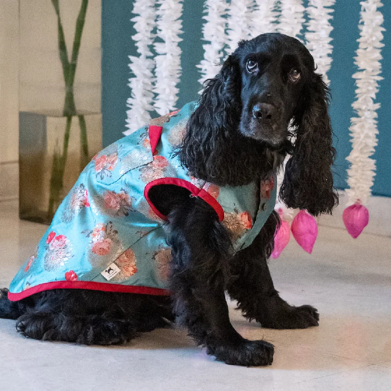 PoochMate Teal & Fuchsia Silk Dog Sherwani