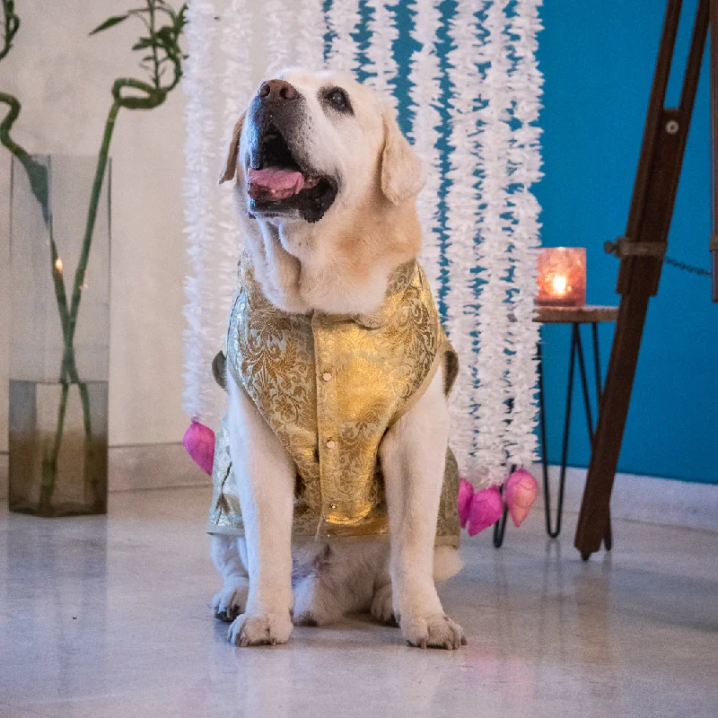 PoochMate Mint Brocade Dog Sherwani