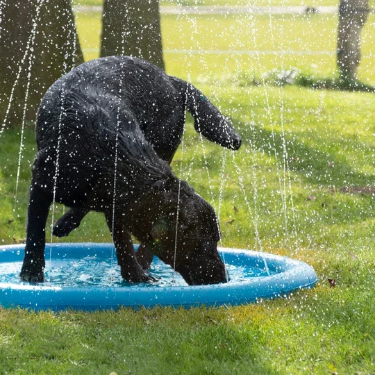 - Cat hair ball removal and hair removal creamCool Pets Splash Sprinkler