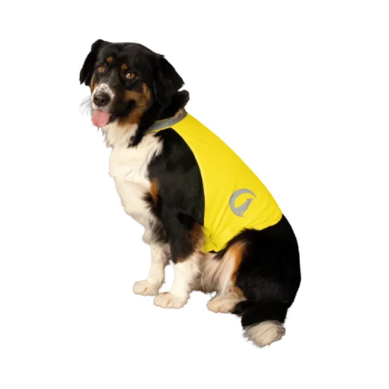 - Postoperative pet anti-licking Elizabethan collarNightWalk Yellow Dog Safety Vest
