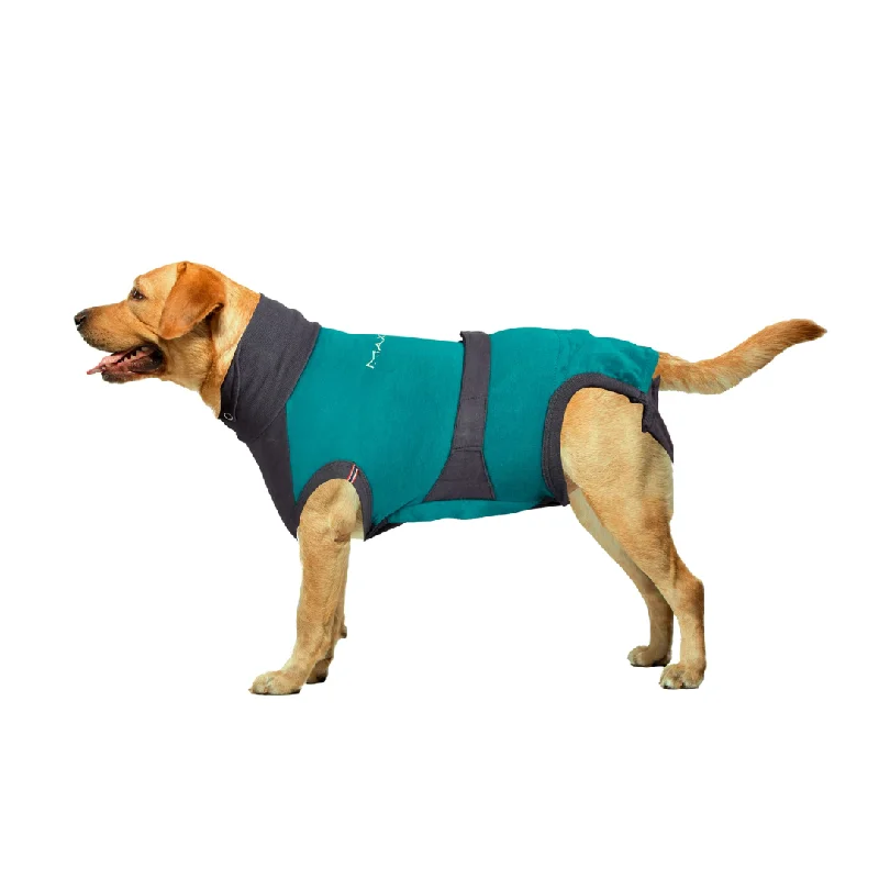 - ​​Pet toys under    yuanMAXX Surgical Recovery Suit for Dogs