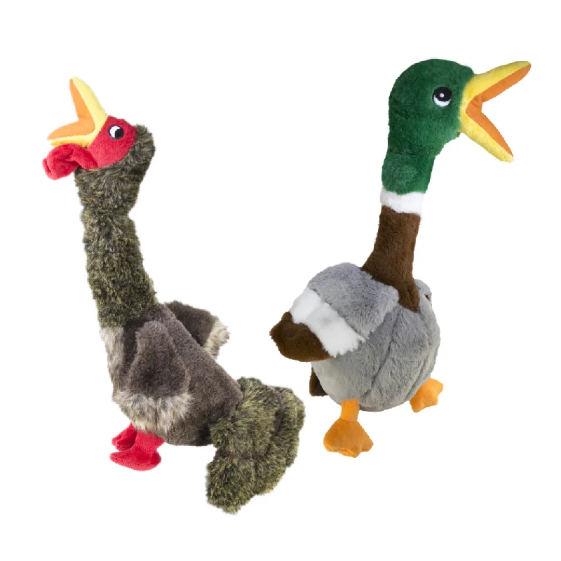 - Pet smart GPS locatorKong Shakers Bird Toy