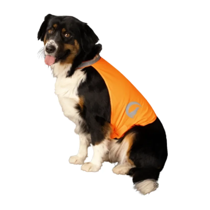 - Dog disposable foam shower gelNightWalk Orange Dog Safety Vest
