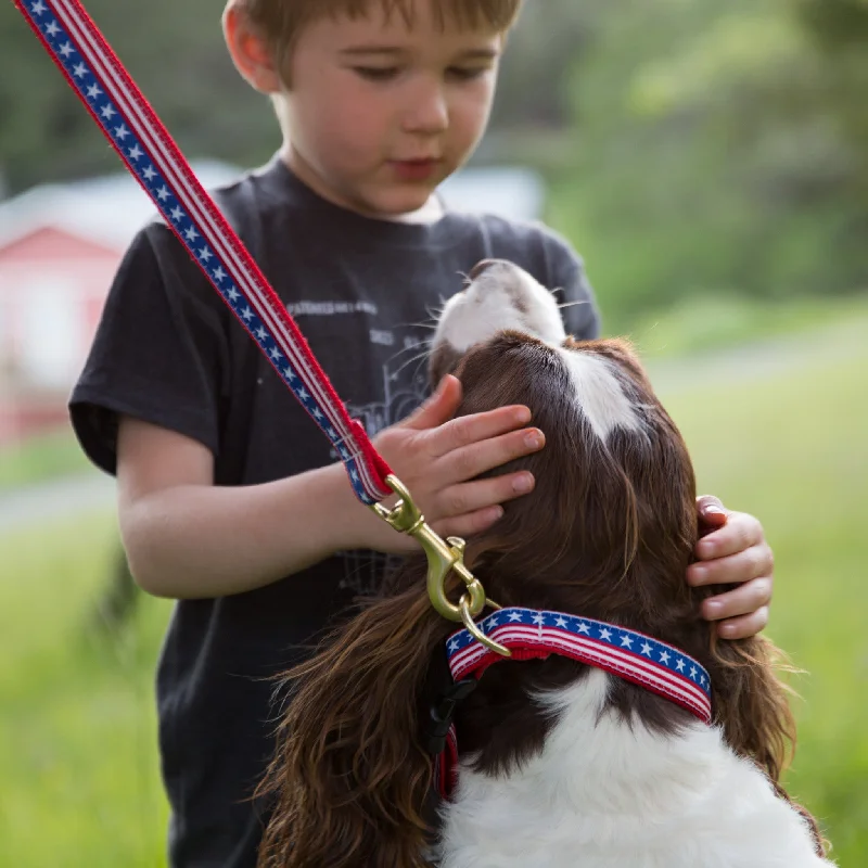 - Pet electric nail grinder silent model6 Foot Dog Leash: Stars and Stripes