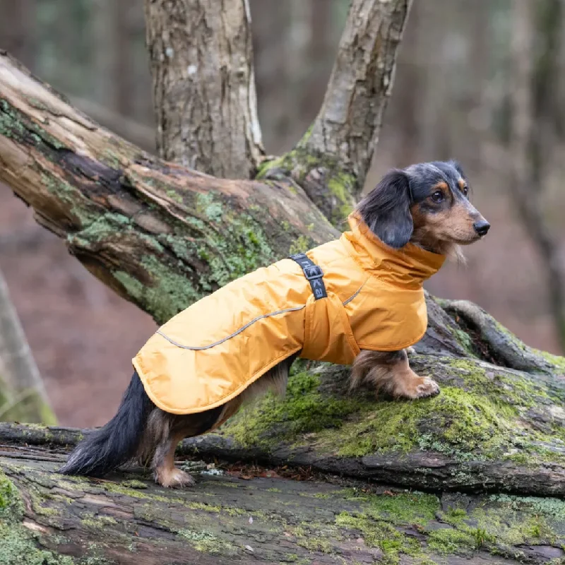 - Deodorizing cat litter tofu litterRukka Stormy Coat Yellow