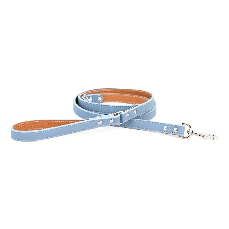  . **Pet traction rope is anti-explosion**Tuscan Leather Dog Leash Light Blue