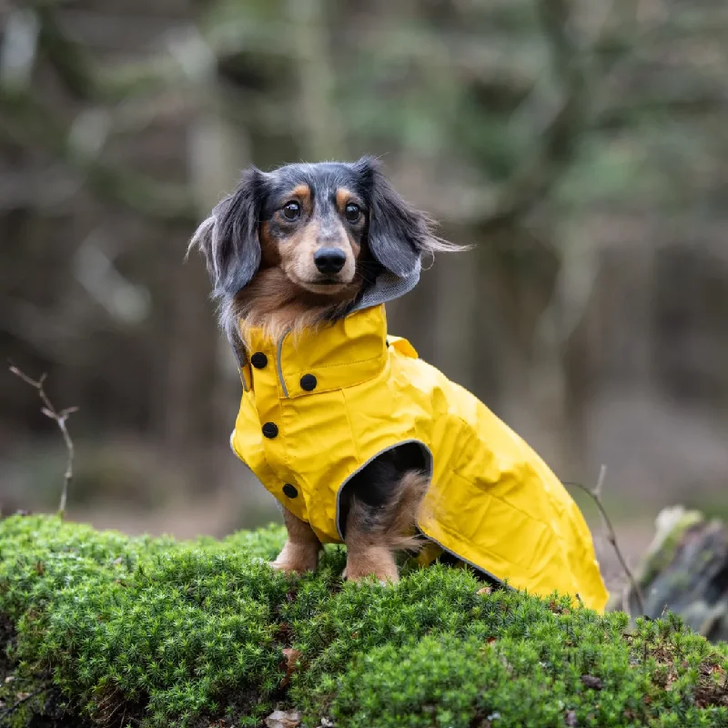- ​​Pet toys under    yuanRukka Stream Yellow Raincoat