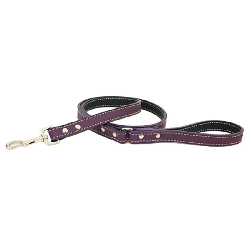  . **Pet food bowl is anti-slip design**Tuscan Leather Dog Leash Purple