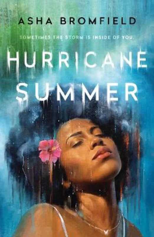 - Postoperative pet anti-licking Elizabethan collarHurricane Summer