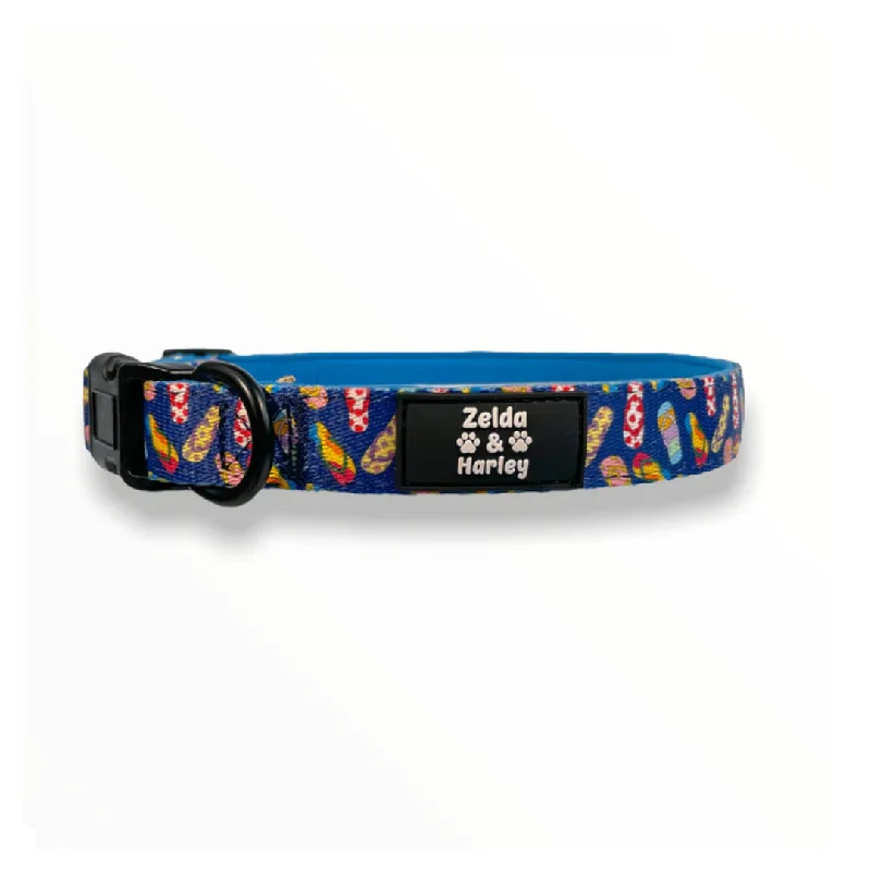  -Anti-scratch scratching board AND cat bed in oneZelda and Harley Blue Sole Mates Collar