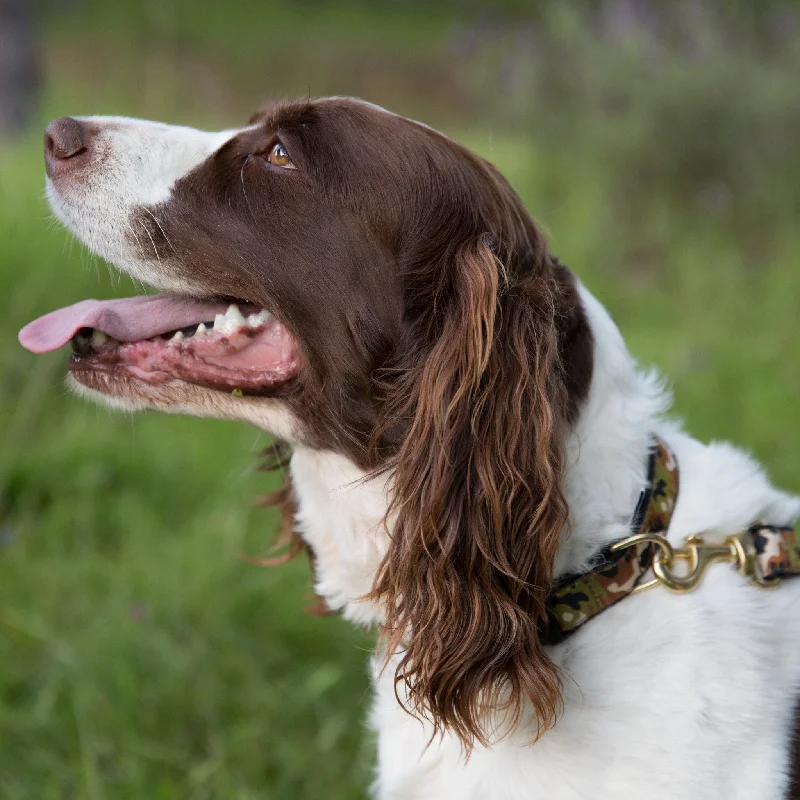 - Automatic temperature adjustment cat bedLarge Dog Collar: Camo