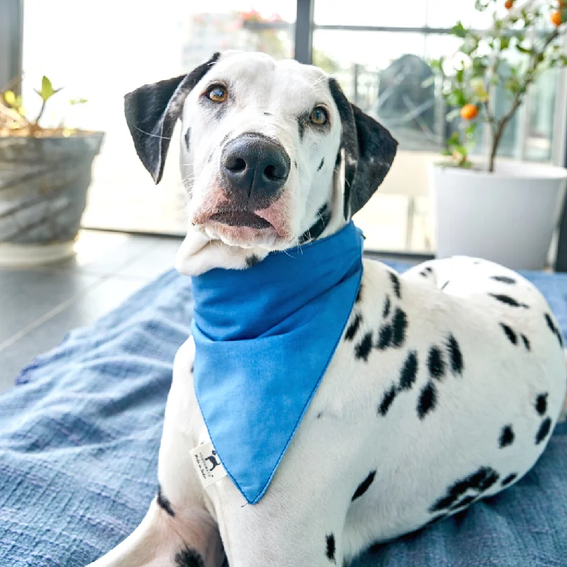 PoochMate Ombre Aqua Dog Bandana