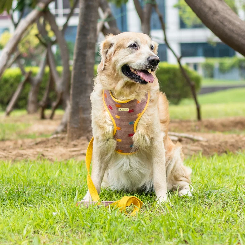PoochMate X The Ikat Story : Onion Pink Ikat Dog Harness & Lead Set