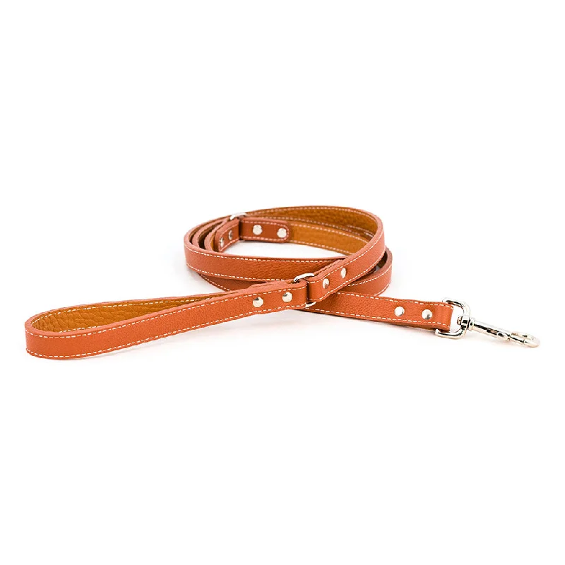 Pet accessoriesTuscan Leather Dog Leash Orange