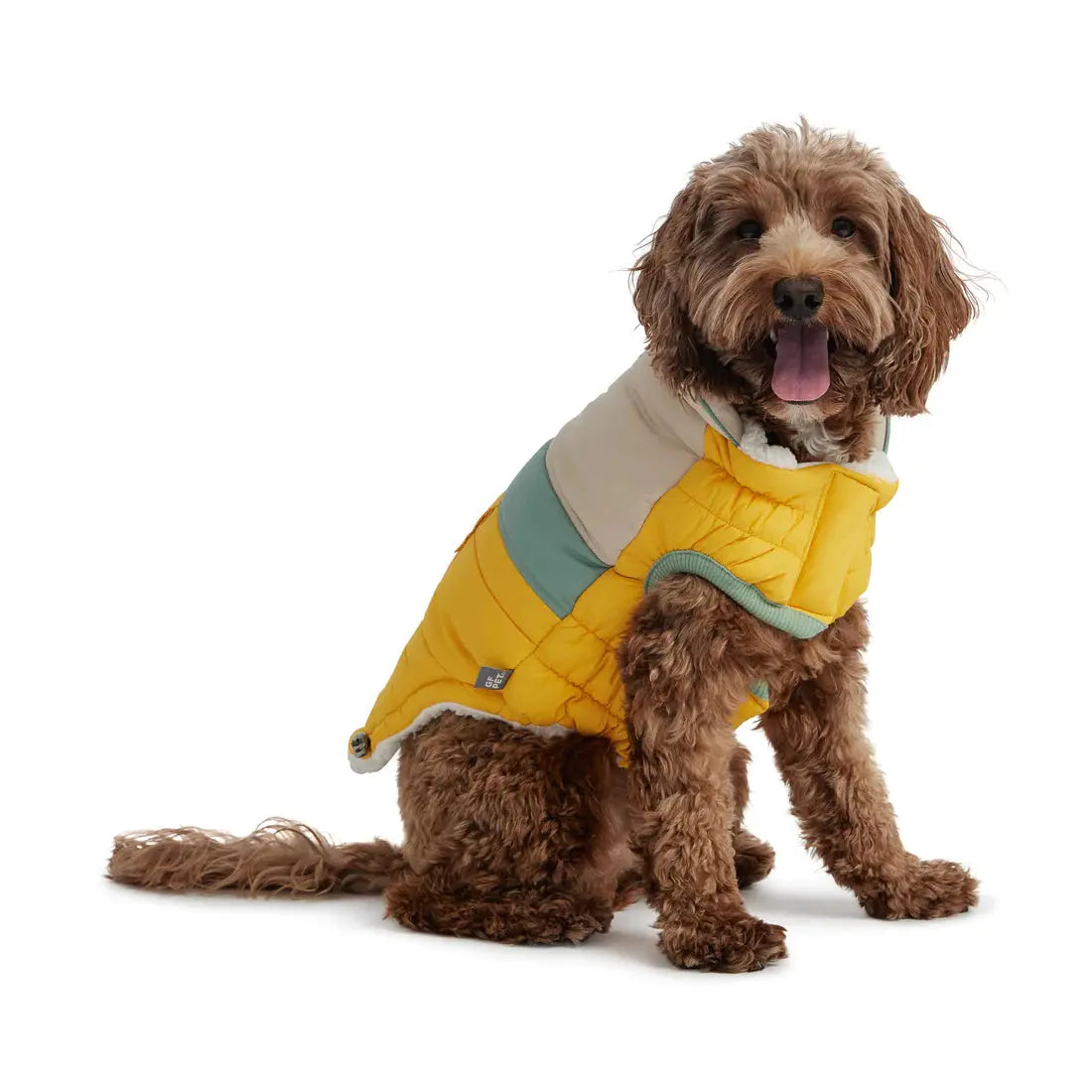 - Climbing pet constant temperature heating padGF Pet Camplife Dog Puffer Jacket