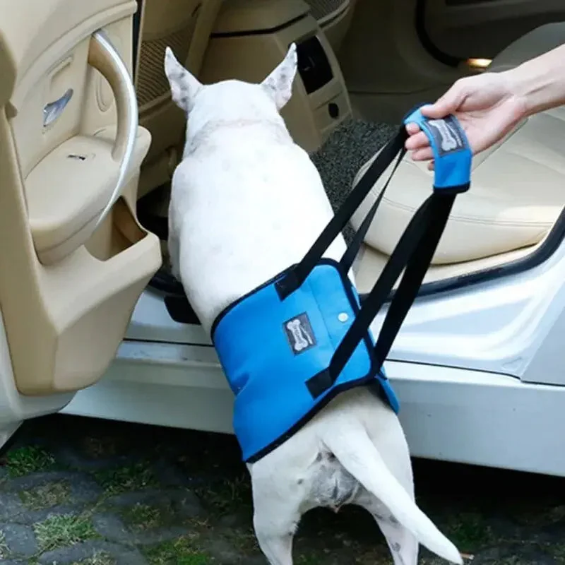 AnniePaw Dog Lift Sling - Adjustable Support for Rear Legs
