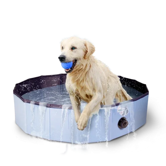  -Anti-scratch sofa protective coverPaddling Pool for Dogs