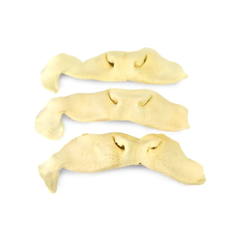 -Anti-slip claw protection raincoat FOR dogsNatural Beef Snouts Dog Chew Treats 10 Units -Anti-slip claw protection raincoat FOR dogsNatural Beef Snouts Dog Chew Treats 10 Units