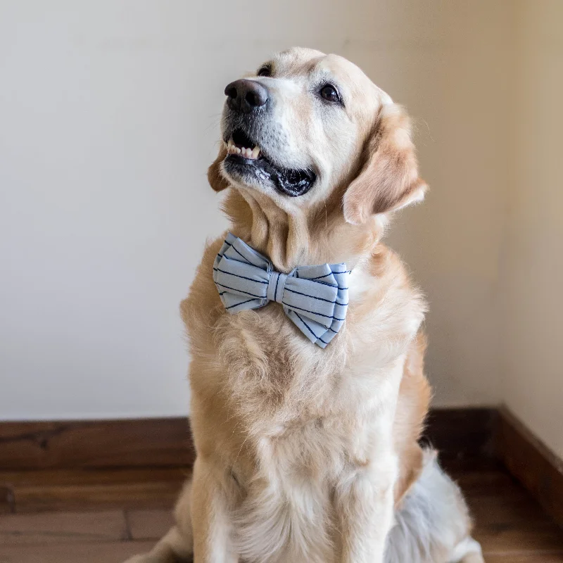 PoochMate Sailors Blue Dog Bow Tie