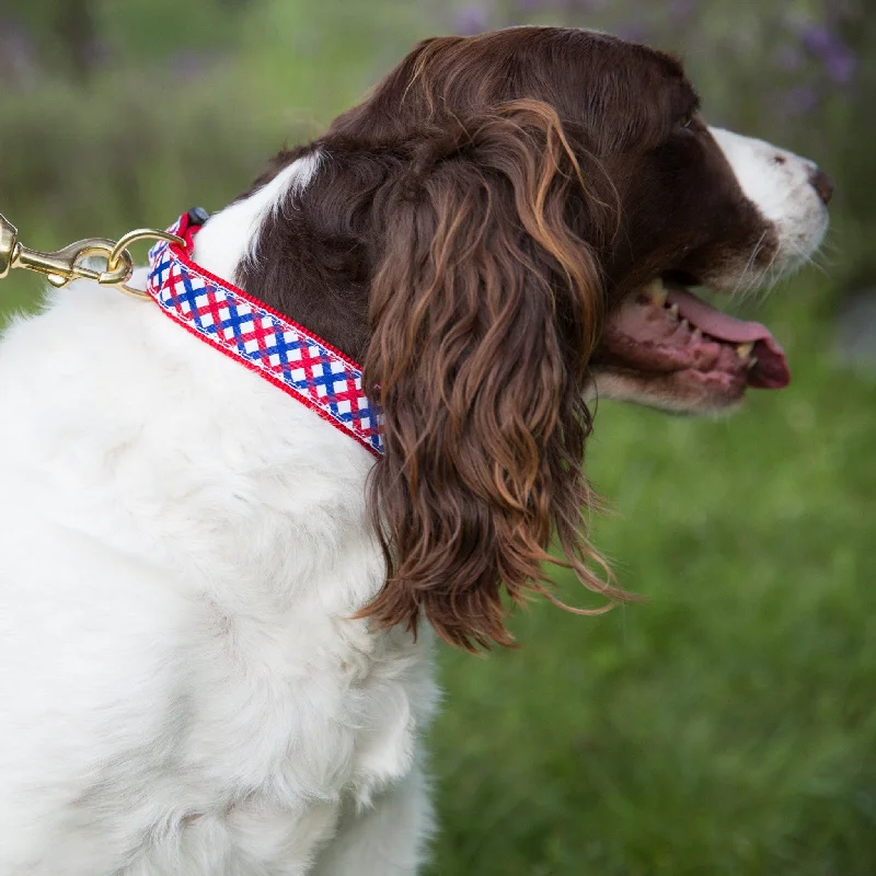 - Pet smart GPS locatorMedium Dog Collar: Parker