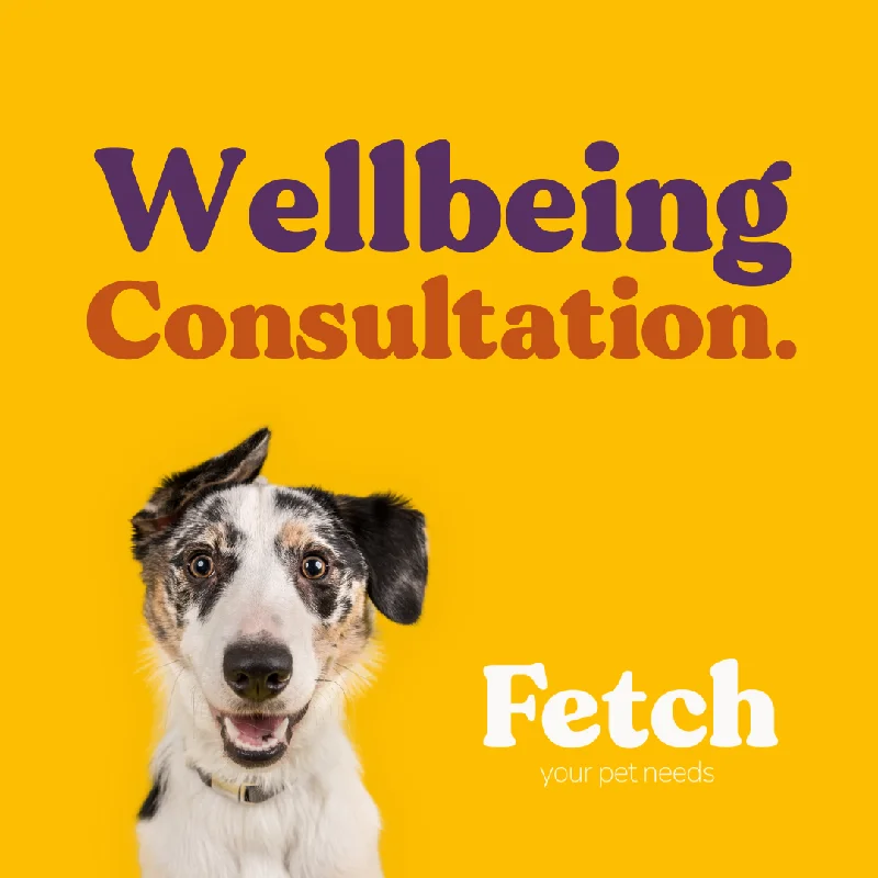 - Automatic induction pet water dispenserWellbeing Consultation