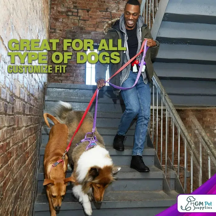 - Elderly dog ​​joint care mattressDog Harness Walking Kit and Leash Set