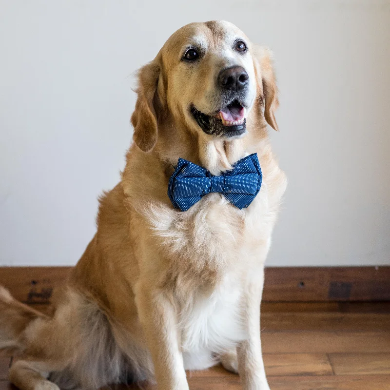 PoochMate Dotty Affair Dog Bow Tie