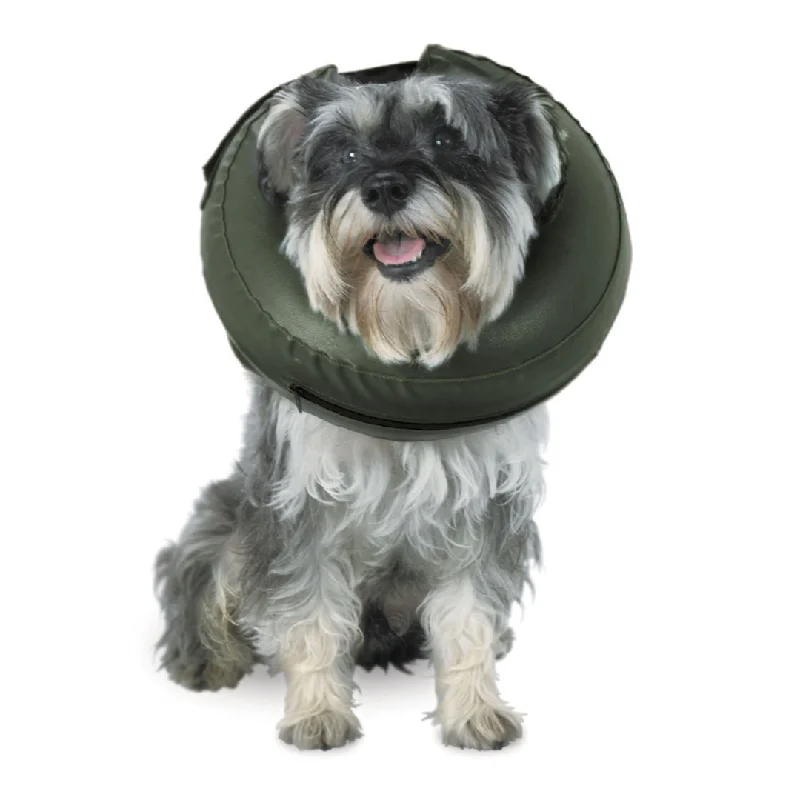  -Non-contact cat thermometerComfy Collar