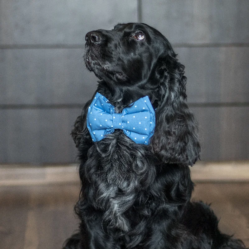 PoochMate Blue Polka Bow Tie for Dogs