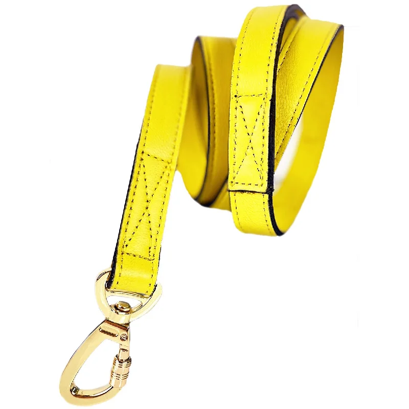  . **Dog snack bag is portable**Galaxy Collection Dog Leash Canary Yellow