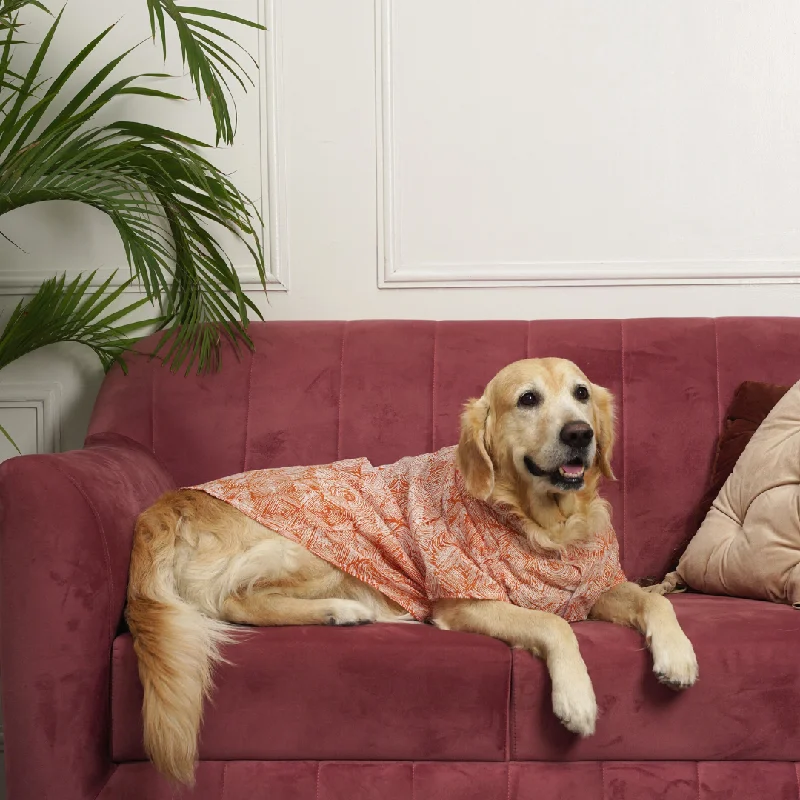 PoochMate X IDAM : Gazba Dog Shirt