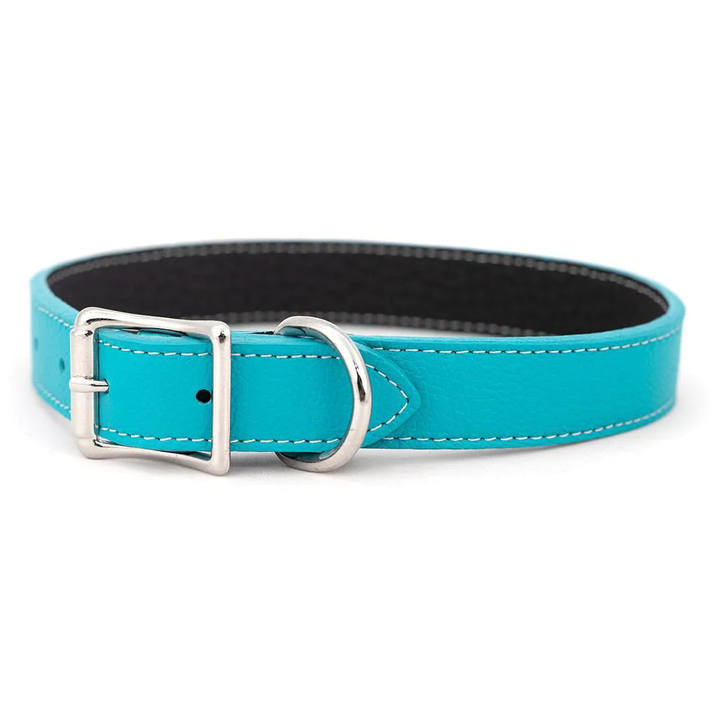  . **Pet mattress is waterproof and washable**Tuscan Leather Dog Leash Turquoise