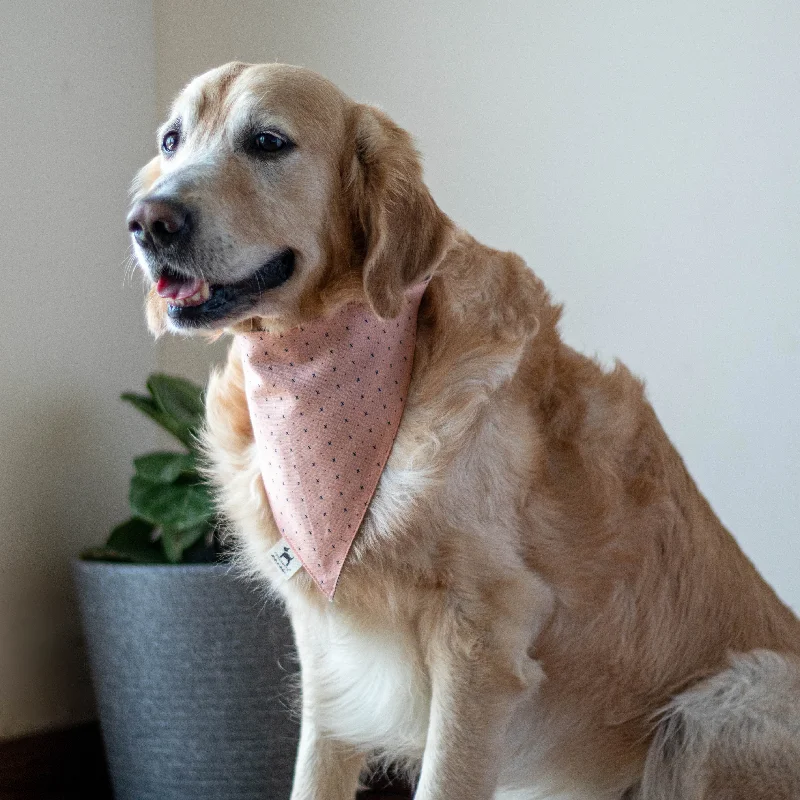 PoochMate Peachy Affair Bandana for Dogs