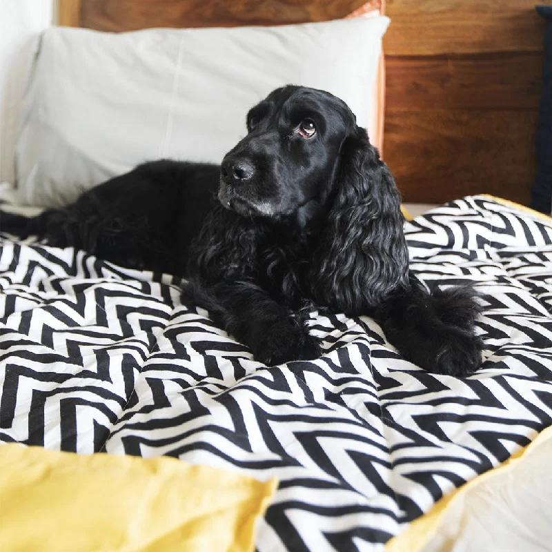 PoochMate Chevron & Yellow Dog Blanket