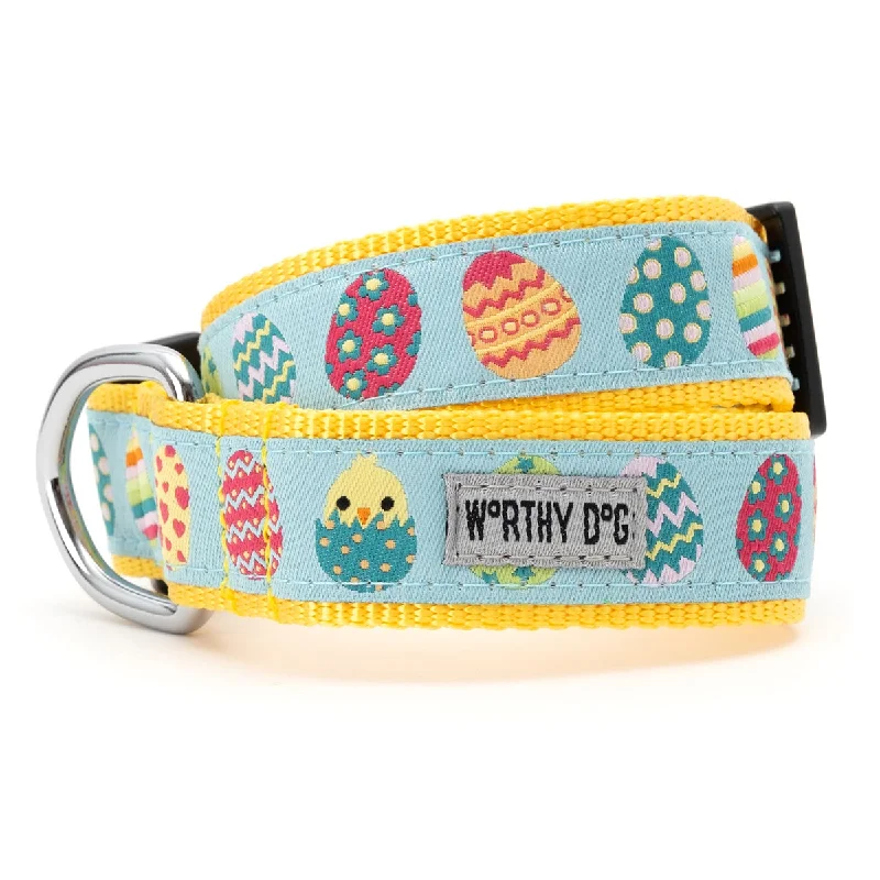  . **Cat backpack space capsule**Easter Eggs Dog Collar
